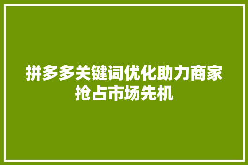 拼多多关键词优化助力商家抢占市场先机