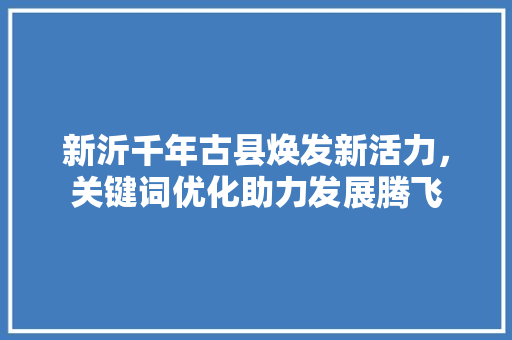 新沂千年古县焕发新活力，关键词优化助力发展腾飞