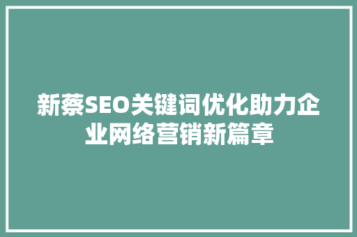 新蔡SEO关键词优化助力企业网络营销新篇章