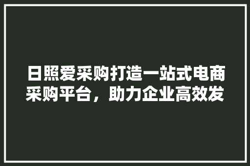 日照爱采购打造一站式电商采购平台，助力企业高效发展