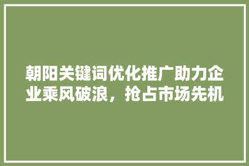朝阳关键词优化推广助力企业乘风破浪，抢占市场先机