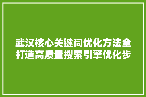 武汉核心关键词优化方法全打造高质量搜索引擎优化步骤