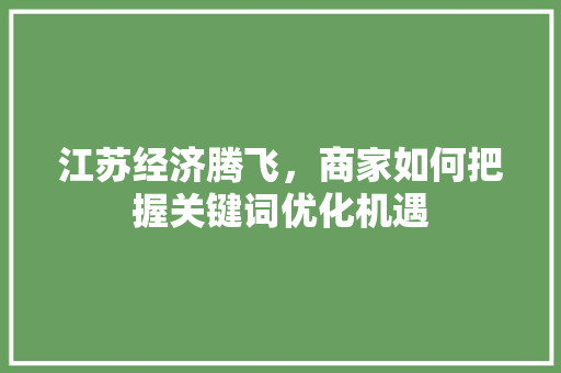 江苏经济腾飞，商家如何把握关键词优化机遇