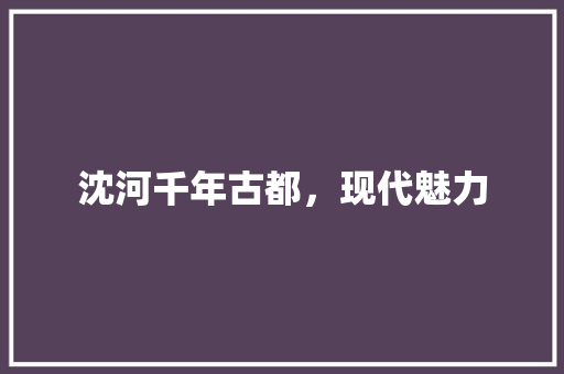 沈河千年古都，现代魅力