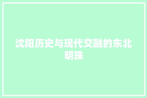 沈阳历史与现代交融的东北明珠