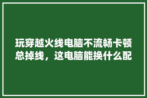 玩穿越火线电脑不流畅卡顿总掉线，这电脑能换什么配置能好点_电脑断线怎么看配置参数表