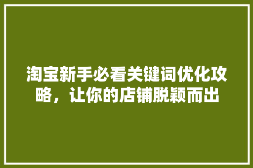 淘宝新手必看关键词优化攻略，让你的店铺脱颖而出