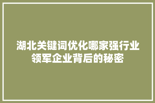 湖北关键词优化哪家强行业领军企业背后的秘密