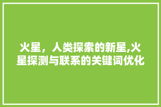 火星，人类探索的新星,火星探测与联系的关键词优化