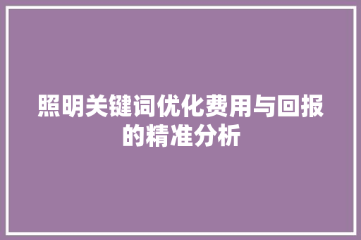 照明关键词优化费用与回报的精准分析