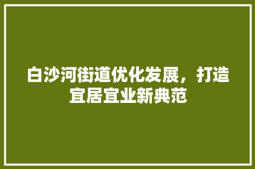白沙河街道优化发展，打造宜居宜业新典范