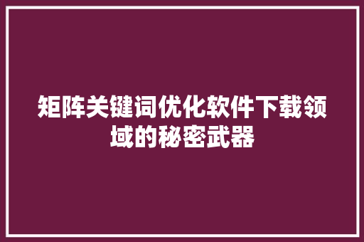 矩阵关键词优化软件下载领域的秘密武器