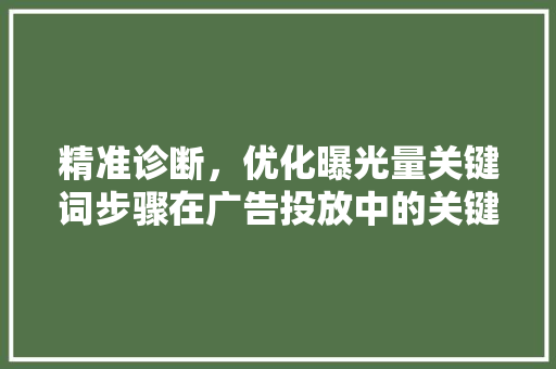 精准诊断，优化曝光量关键词步骤在广告投放中的关键作用