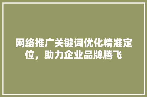 网络推广关键词优化精准定位，助力企业品牌腾飞