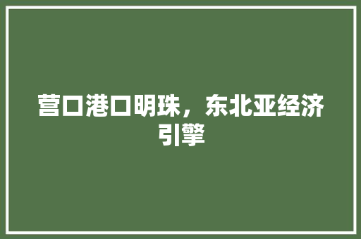 营口港口明珠，东北亚经济引擎