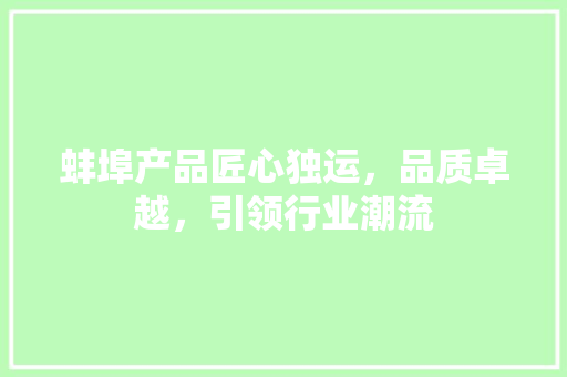 蚌埠产品匠心独运，品质卓越，引领行业潮流