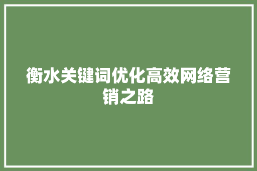 衡水关键词优化高效网络营销之路