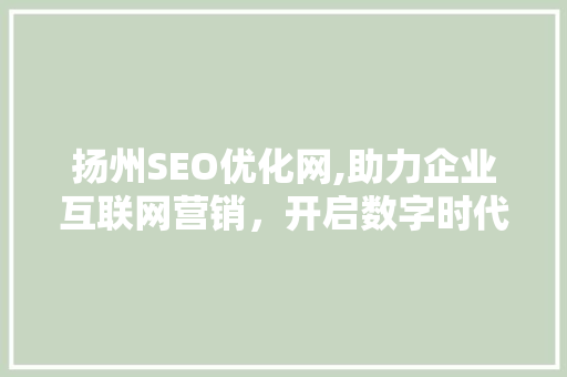 扬州SEO优化网,助力企业互联网营销，开启数字时代新篇章 网络技术