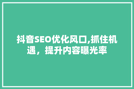抖音SEO优化风口,抓住机遇，提升内容曝光率