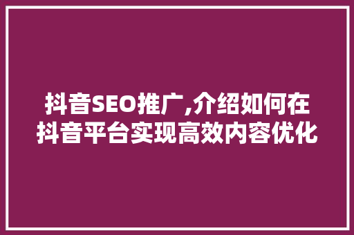 抖音SEO推广,介绍如何在抖音平台实现高效内容优化