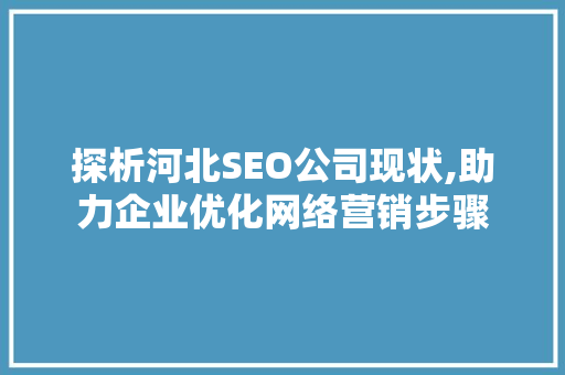 探析河北SEO公司现状,助力企业优化网络营销步骤