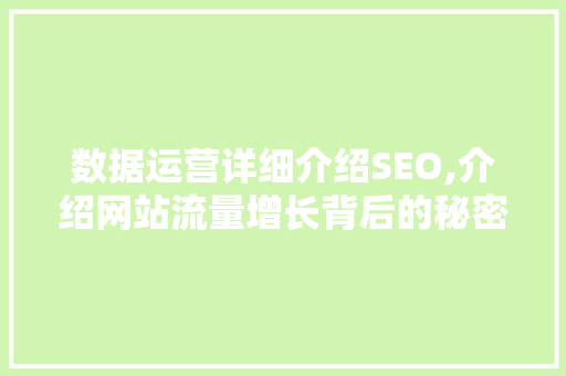 数据运营详细介绍SEO,介绍网站流量增长背后的秘密