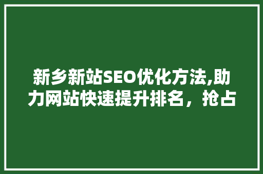 新乡新站SEO优化方法,助力网站快速提升排名，抢占市场先机
