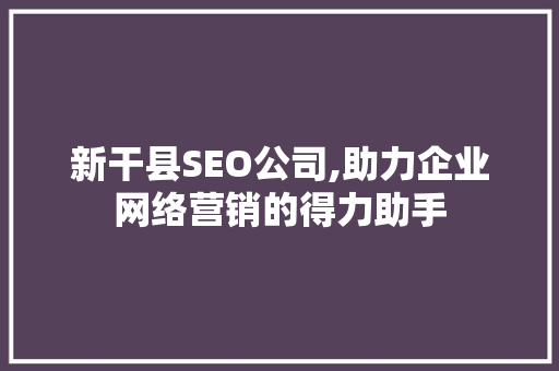 新干县SEO公司,助力企业网络营销的得力助手