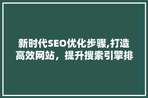 新时代SEO优化步骤,打造高效网站，提升搜索引擎排名 编程语言