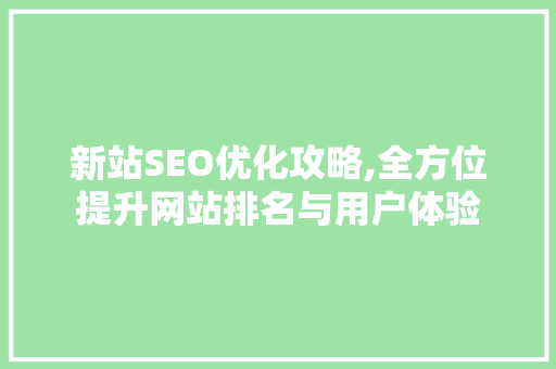 新站SEO优化攻略,全方位提升网站排名与用户体验
