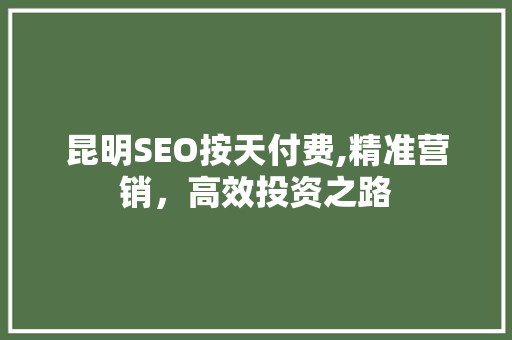 昆明SEO按天付费,精准营销，高效投资之路