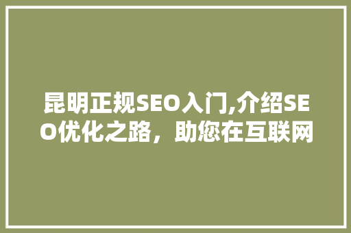 昆明正规SEO入门,介绍SEO优化之路，助您在互联网时代脱颖而出