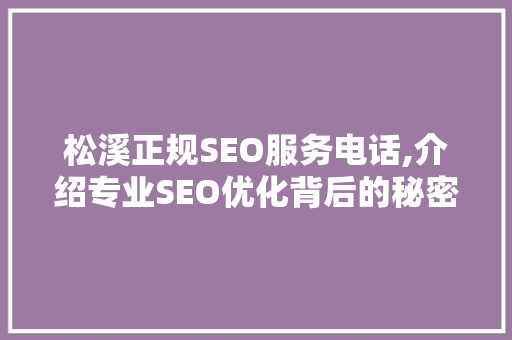 松溪正规SEO服务电话,介绍专业SEO优化背后的秘密 松溪正规SEO服务电话,介绍专业SEO优化背后的秘密