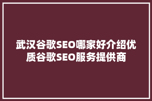 武汉谷歌SEO哪家好介绍优质谷歌SEO服务提供商