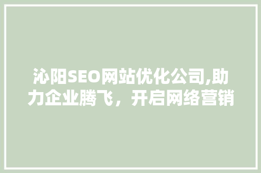 沁阳SEO网站优化公司,助力企业腾飞，开启网络营销新篇章