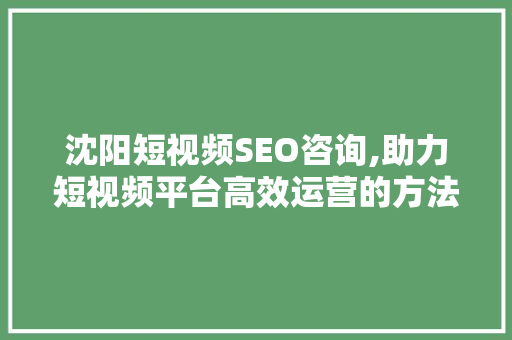 沈阳短视频SEO咨询,助力短视频平台高效运营的方法