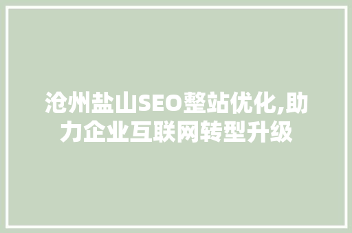 沧州盐山SEO整站优化,助力企业互联网转型升级