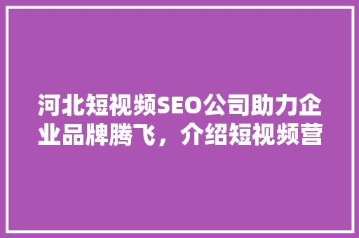 河北短视频SEO公司助力企业品牌腾飞，介绍短视频营销新趋势