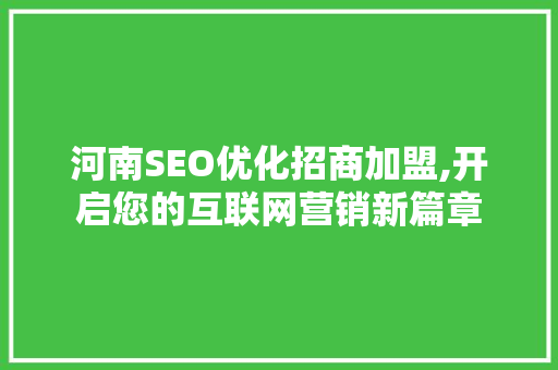 河南SEO优化招商加盟,开启您的互联网营销新篇章