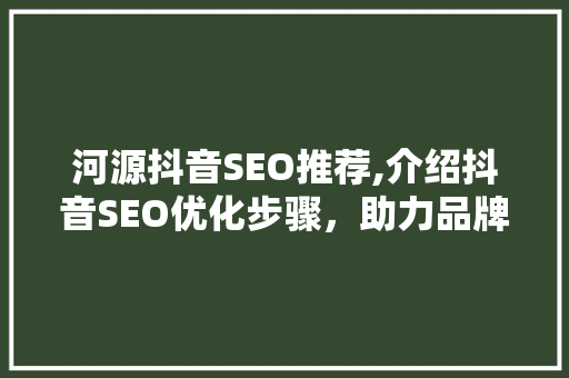 河源抖音SEO推荐,介绍抖音SEO优化步骤，助力品牌快速崛起