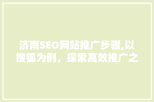 济南SEO网站推广步骤,以搜狐为例，探索高效推广之路