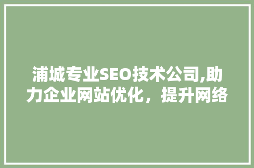 浦城专业SEO技术公司,助力企业网站优化，提升网络竞争力