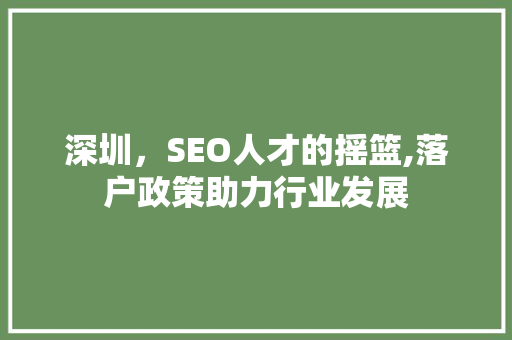 深圳，SEO人才的摇篮,落户政策助力行业发展