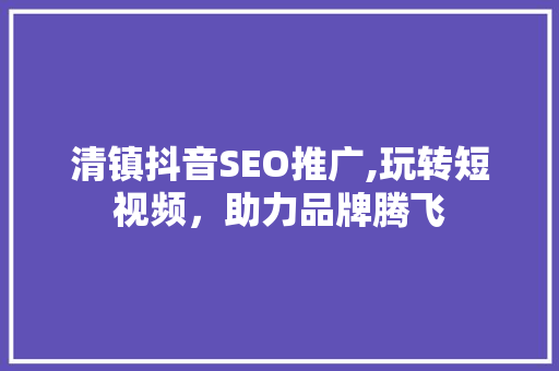 清镇抖音SEO推广,玩转短视频，助力品牌腾飞