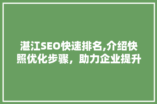 湛江SEO快速排名,介绍快照优化步骤，助力企业提升在线竞争力