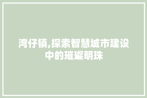 湾仔镇,探索智慧城市建设中的璀璨明珠