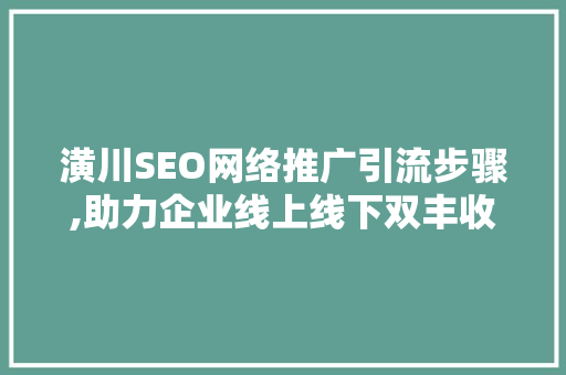 潢川SEO网络推广引流步骤,助力企业线上线下双丰收