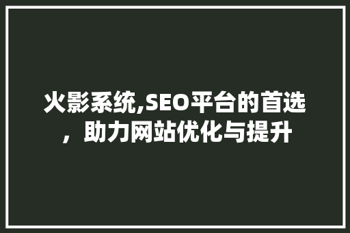 火影系统,SEO平台的首选，助力网站优化与提升
