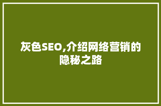灰色SEO,介绍网络营销的隐秘之路