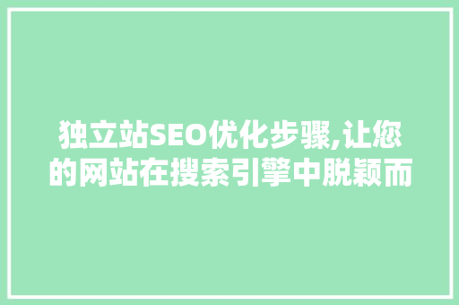 独立站SEO优化步骤,让您的网站在搜索引擎中脱颖而出